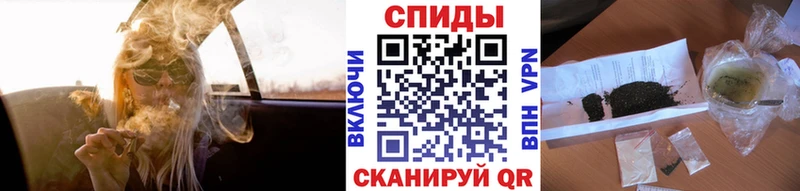 мориарти состав Грязи Бутират буратино