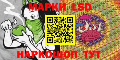 мяу мяу мука Вязьма
