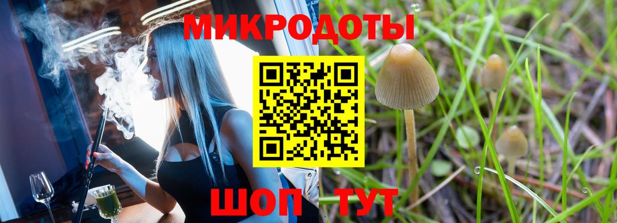 Грязи  Псилоцибиновые грибы MAGIC MUSHROOMS  Вход с VPN 
