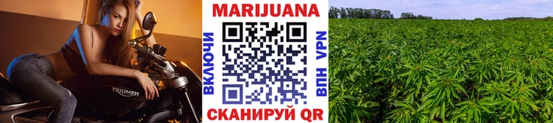 МАРИХУАНА семена  Грязи 